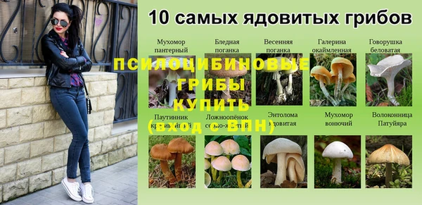 тгк Верхний Тагил