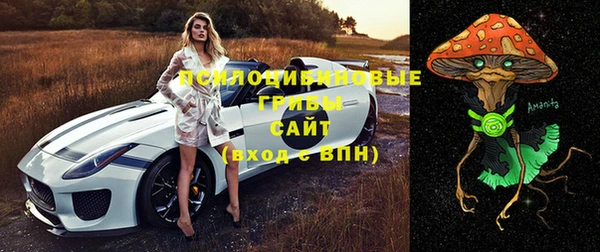 тгк Верхний Тагил